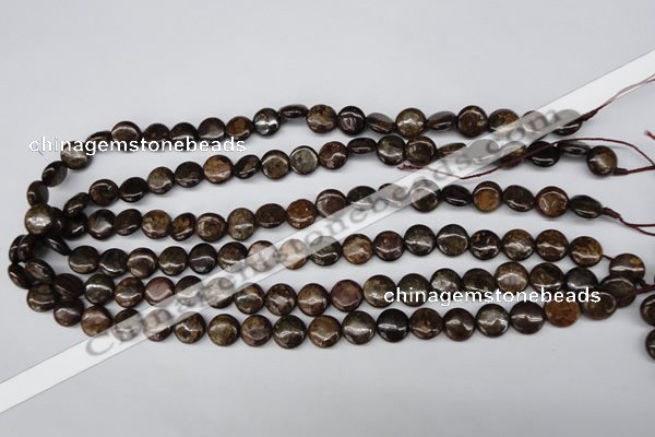 CBZ71 15.5 inches 10mm flat round bronzite gemstone beads