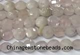 CCB1369 15 inches 4mm faceted coin morganite beads