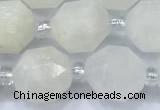 CCB1451 15 inches 9mm - 10mm faceted white moonstone beads