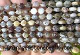 CCB1743 15 inches 6mm faceted coin gobi agate beads