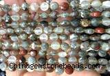 CCB1783 15 inches 6mm faceted coin blood jasper beads