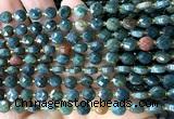 CCB1784 15 inches 6mm faceted coin Indian blood jasper beads