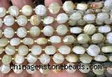 CCB1961 15 inches 8mm faceted coin Afghanistan jade beads