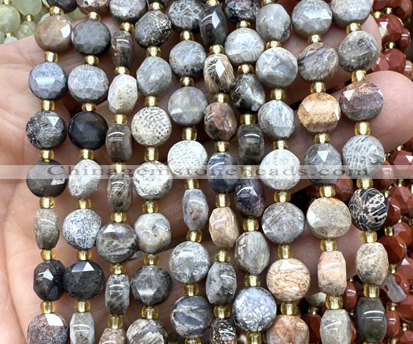 CCB2028 15 inches 8mm faceted coin fossil coral beads