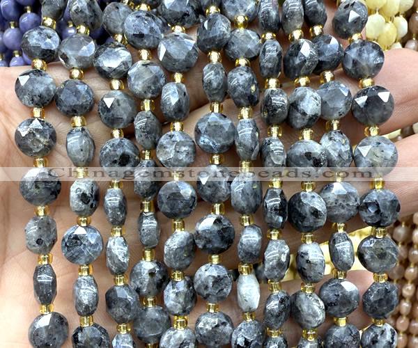 CCB2031 15 inches 8mm faceted coin black labradorite beads
