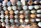 CCB2144 15 inches 10mm faceted coin American picture jasper beads