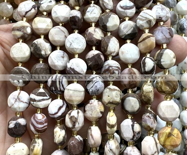 CCB2160 15 inches 10mm faceted coin Australian zebra jasper beads