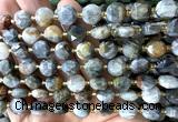 CCB2162 15 inches 10mm faceted coin eagle eye jasper beads