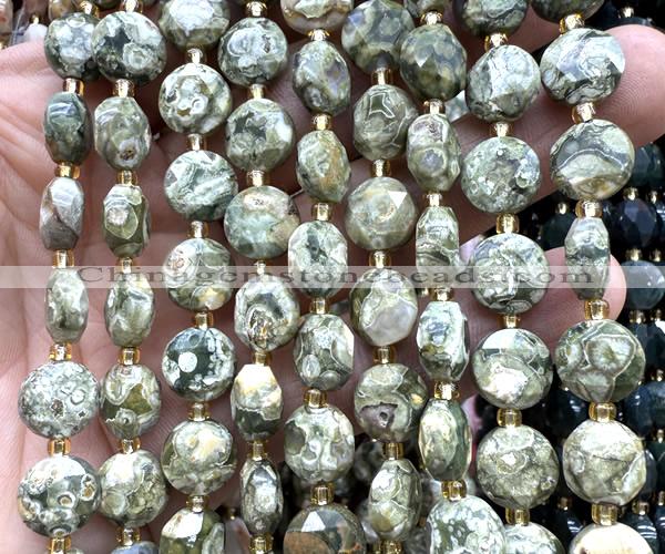 CCB2174 15 inches 10mm faceted coin rhyolite gemstone beads