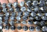 CCB2191 15 inches 10mm faceted coin black labradorite beads