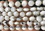 CCB2206 15 inches 10mm faceted coin white moonstone beads