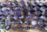 CCB2302 15 inches 12mm faceted coin dogtooth amethyst beads