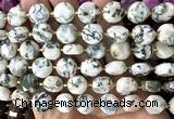 CCB2318 15 inches 12mm faceted coin tree agate gemstone beads