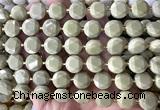 CCB2335 15 inches 12mm faceted coin Alashan jasper beads