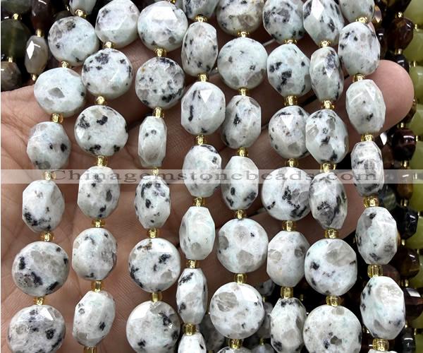 CCB2337 15 inches 12mm faceted coin sesame jasper beads