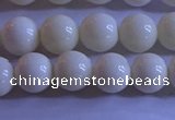 CCB302 15.5 inches 8mm round white coral beads wholesale