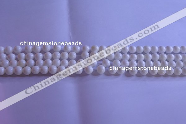 CCB400 15.5 inches 4mm round white tridacna beads wholesale