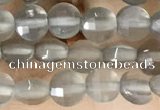 CCB541 15.5 inches 4mm faceted coin grey moonstone beads