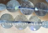 CCB607 15.5 inches 6mm faceted coin labradorite gemstone beads