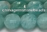 CCB681 15.5 inches 10mm faceted coin amazonite gemstone beads