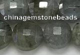 CCB684 15.5 inches 10mm faceted coin labradorite gemstone beads