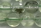 CCB687 15.5 inches 10mm faceted coin prehnite gemstone beads