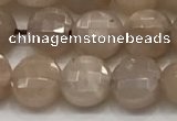 CCB705 15.5 inches 6mm faceted coin moonstone gemstone beads