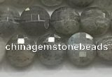 CCB706 15.5 inches 6mm faceted coin labradorite gemstone beads