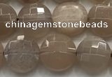 CCB725 15.5 inches 8mm faceted coin moonstone gemstone beads