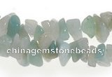 CCH20 32 inches amazonite chips gemstone beads wholesale