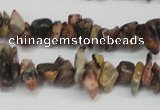 CCH204 34 inches 3*5mm red leopard skin jasper chips beads wholesale