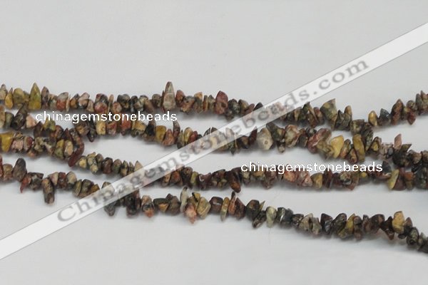 CCH204 34 inches 3*5mm red leopard skin jasper chips beads wholesale