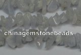 CCH205 34 inches 3*5mm blue chalcedony chips gemstone beads wholesale