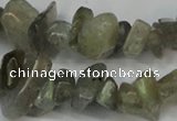 CCH217 34 inches 5*8mm labradorite chips gemstone beads wholesale