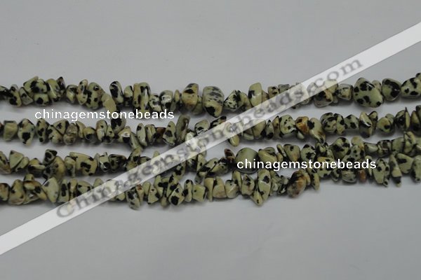 CCH228 34 inches 5*8mm dalmatian jasper chips gemstone beads wholesale