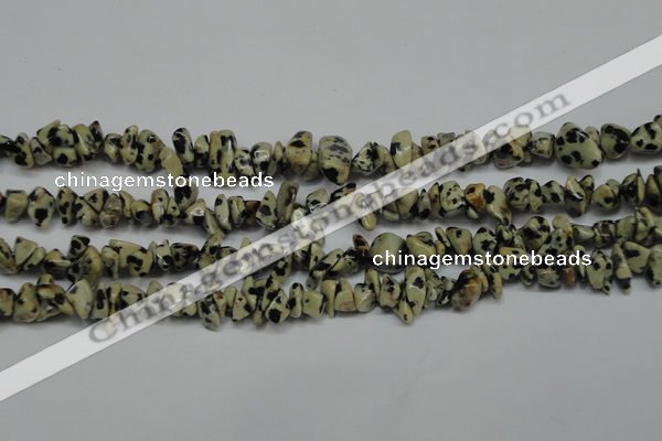 CCH228 34 inches 5*8mm dalmatian jasper chips gemstone beads wholesale