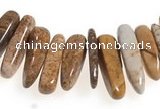 CCH26 16 inches picture jasper chips gemstone beads wholesale