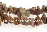 CCH27 35 inches picture jasper chips gemstone beads wholesale