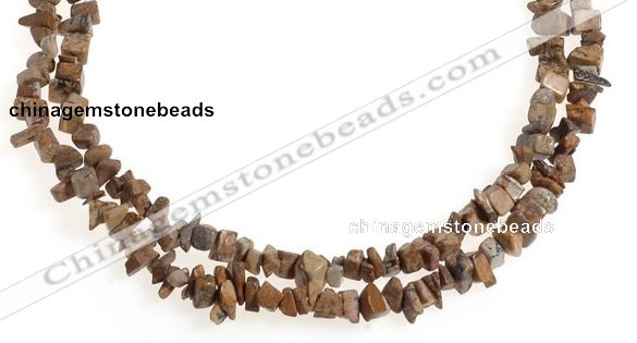 CCH27 35 inches picture jasper chips gemstone beads wholesale