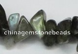 CCH277 34 inches 8*12mm labradorite chips gemstone beads wholesale