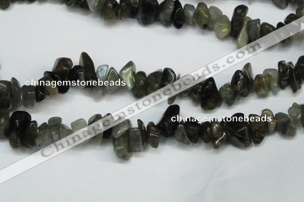 CCH277 34 inches 8*12mm labradorite chips gemstone beads wholesale