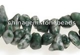 CCH29 35 inches dalmatian jasper chips gemstone beads wholesale