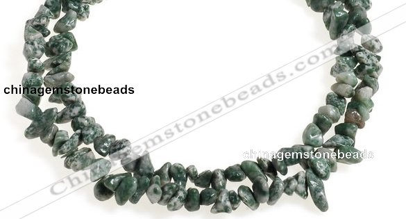 CCH29 35 inches dalmatian jasper chips gemstone beads wholesale