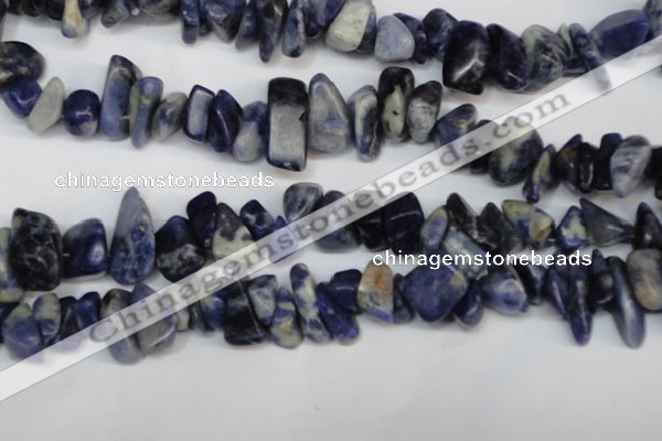 CCH300 34 inches 8*12mm sodalite chips gemstone beads wholesale