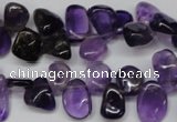 CCH315 15.5 inches 10*15mm amethyst chips gemstone beads wholesale