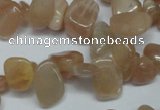 CCH321 15.5 inches 10*15mm moonstone chips gemstone beads wholesale