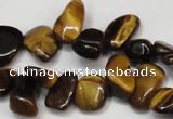 CCH327 15.5 inches 10*15mm tiger eye chips gemstone beads wholesale