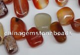 CCH333 15.5 inches 10*15mm red agate chips gemstone beads wholesale