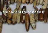 CCH345 15.5 inches 5*20mm picture jasper chips beads wholesale