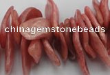 CCH401 15.5 inches 15*28mm - 18*35mm argentina rhodochrosite chips beads